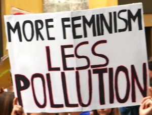 Cartello con su scritto "More feminism Less pollution"